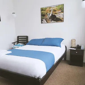 Bird Garden Bed & Breakfast